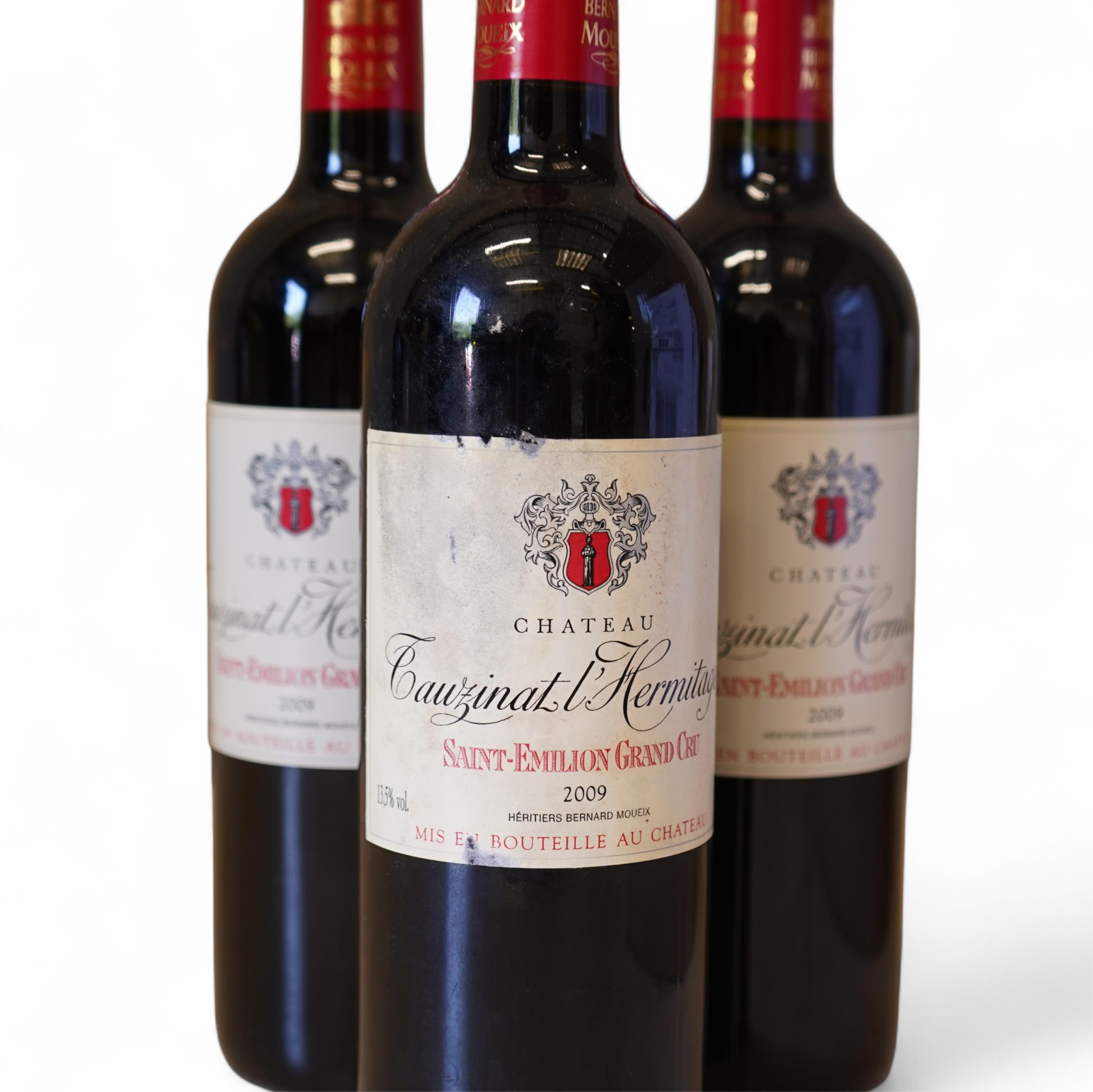 Château Tauzinat l'Hermitage, 2009